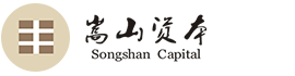 嵩山资本